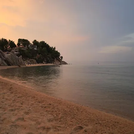 η ροδιά - Rodia *