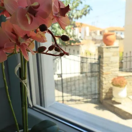 η ροδιά - Rodia