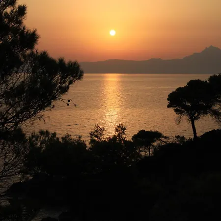 η ροδιά - Rodia *
