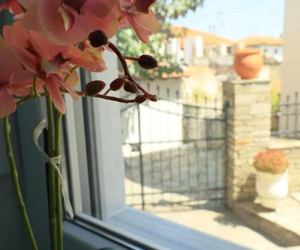 η ροδιά - Rodia