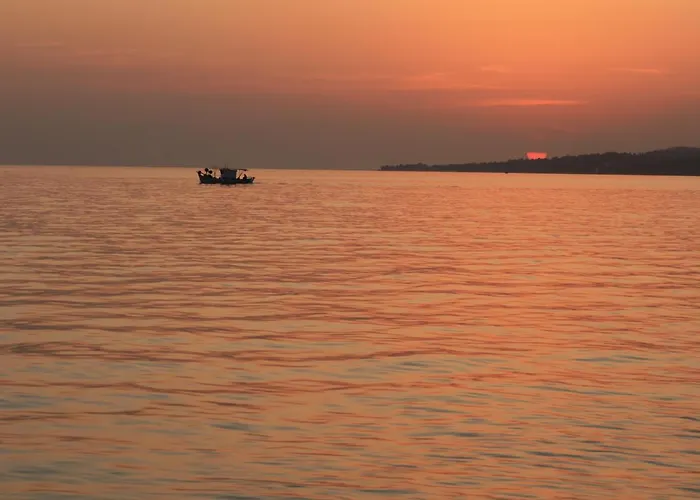 η ροδιά - Rodia