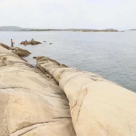 η ροδιά - Rodia Daire