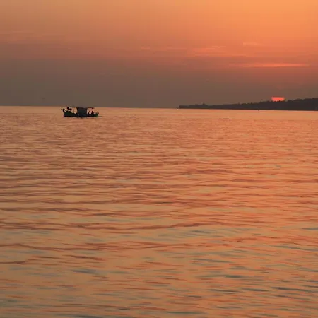 η ροδιά - Rodia