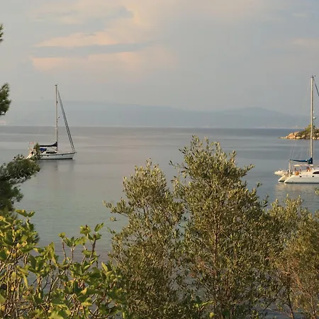 η ροδιά - Rodia