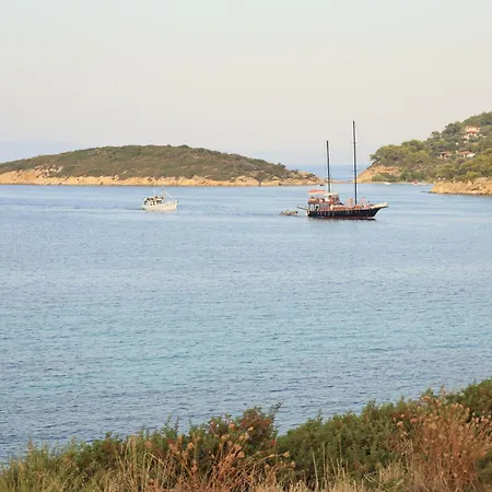 Daire η ροδιά - Rodia *